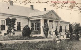 Dunapentele Janicsáry puszta