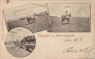 1899 Hortobágy