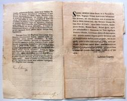 1769 Helytartótanácsi leirat a cigányok tárgyában Albert Kázmér herceg Magyarország helytartójának K...