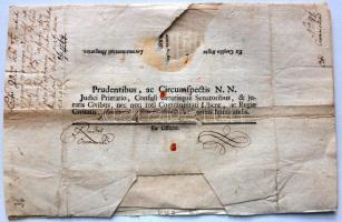 1769 Helytartótanácsi leirat a cigányok tárgyában Albert Kázmér herceg Magyarország helytartójának K...