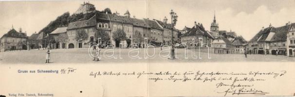 Segesvár castle hill panoramacard (b)