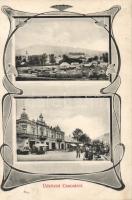 Csaca with timber plant