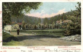 Tátra Virágvölgy restaurant and Villa Schweiz