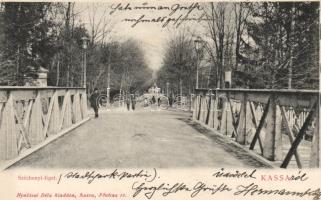 Kassa Széchenyi grove