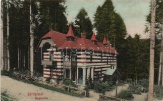 Bártfafürdő Villa Margit