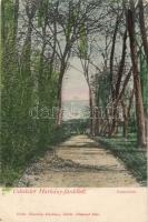 Harkányfürdő park