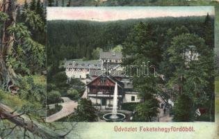 Feketehegy-fürdő (EB)