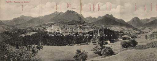 Tarvisio panoramacard (fl)