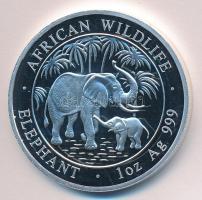 Szomália 2001. 100Sh Ag "Afrika vadvilága-elefánt" T:PP
Somalia 2001. 100 Shillings Ag &qu...