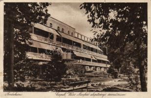 Budakeszi a Csepeli Weiss Manfréd Alapítvány szanatóriuma (Rb)