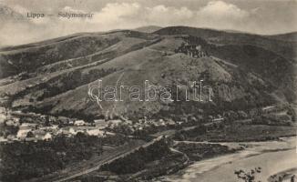 Lippa Solymosi castle