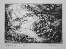 Kiss Terézia -Hírvivő,rézkarc 42/100 10×14 cm. keret nélkül