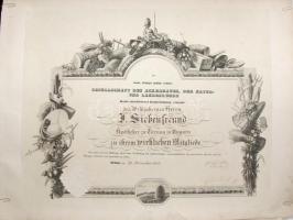 1852 A Morvaországi és Sziléziai Császári és Királyi Mezőgazdasági Társaság gazdagon díszített oklevele, melyben Johann Siebenfreud nagyszombati gyógyszerészt valódi tagjává nevezi ki, papírra kasírozva, az alján kis sérülésekkel / Decorative charter of the Moravian and Silesian Agricultural Society (Kais. königl. mähr. schles. Gesellschaft des Ackerbaues, Natur- und Landeskunde) for Johann Siebenfreud pharmacist in Tyrnau, with faults on bottom