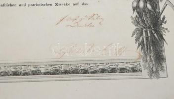 1852 A Morvaországi és Sziléziai Császári és Királyi Mezőgazdasági Társaság gazdagon díszített oklev...
