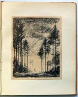 Chamisso, Adalbert von: Schlemihl Péter csodálatos története. Zádor István 8 kőrajzával. Bp., 1921. ...