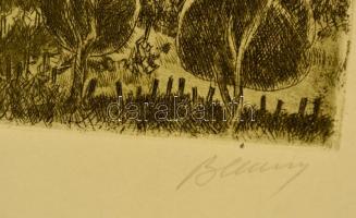 Blahos Rudolf (1917-1986): Badacsony, rézkarc 53/100, papír, jelzett, 30x38 cm