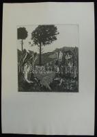 Badacsonyi Sándor (1949)- Shakespeare: A vihar, 76/100 rézkarc, papír, 30×27 cm