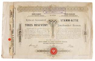 1893. "BÉKÉS-CSANÁDI H. É. VASUT RÉSZVÉNY-TÁRSASÁG" törzs részvénye 200 Koronáról, szelvényekkel, német és magyar nyelven T:II- (beszakadások) /  Hungary 1893. "Corporation of the local railway of Békés-Csanádi" common stock in 200 Korona value in German and Hungarian language C:VF (small tears)