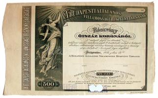 1893. "A BUDAPESTI ÁLTALÁNOS VILLAMOSSÁGI RÉSZVÉNYTÁRSASÁG" részvénye 500 Koronáról, szelvényekkel, német és magyar nyelven, selejtezve felülnyomással és lyukasztással érvénytelenítve T:II /  Hungary 1893. "General Electric Corporation of Budapest" common stock in 500 Korona value in German and Hungarian language with cancellation C:XF