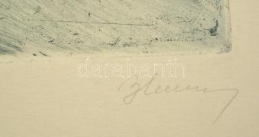 Blahos Rudolf (1917-1986): Pesti látkép, 70/100 rézkarc, papír, jelzett, 30x40 cm