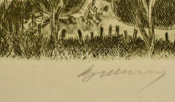 Blahos Rudolf (1917-1986): Badacsony, rézkarc 20/100, papír,  jelzett, 16×36 cm