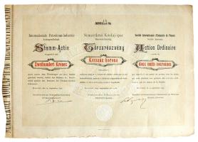 1895. "NEMZETKÖZI KŐOLAJ-IPAR RÉSZVÉNYTÁRSASÁG" részvénye 200 Korona értékben, szelvényekk...