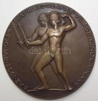 Reményi József (1887-1977): Az 1928. évi olimpiai kardcsapat világbajnokainak, réz emlékplakett "A magyar kard dicsőséges szereplésének emlékére, Amszterdam 1928", d: 8,5cm