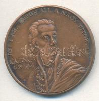 1989. "MÉE XIX. Vándorgyűlése - Kazinczy Ferenc - Sátoraljaújhely" Br emlékérem (42m) T:2