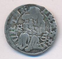 1489. Denár "I. Mátyás" ismeretlen verdejel!(0,54g) T:2- Huszár 722.,Unger I.: 567.