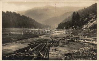 Tisza river, wood transportation