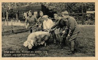 Military life, soldiers and the pig