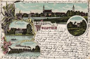 1897 Wollstein Litho