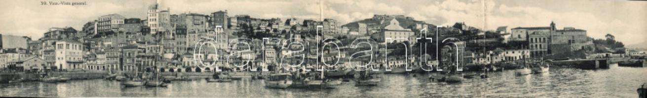 Vigo panoramacard