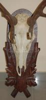 Nagyméretű szarvasagancs-trófea / Deer-trophy 120 cm
