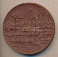 Németország DN "Albert Schweitzer" Meisseni porcelán emlékérem (63mm) T:1 Dísztokban
Germa...