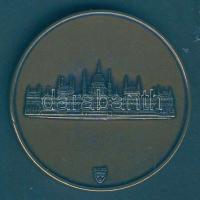 Bozó Gyula (1913-2004) DN. "Magyar Köztársaság Országgyűlése" Br emlékérem (42.5mm) díszto...