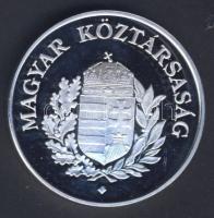 Fritz Mihály (1947-) 2006. "Magyar Köztársaság/1956." ezüstözött fém emlékérem (42mm) T:PP...
