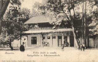 Buziás spa