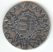 DN "Magyar Honvédség Parancsnoka, vezérkari főnök" fém emlékérem T:BU