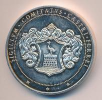 DN "Vas Megye Önkormányzata Szolgálatáért" ezüstözött piefort emlékérem (42.5mm/47,55g) T:...