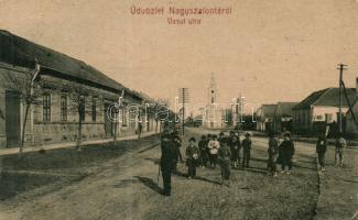 Nagyszalonta Railway street (EK)