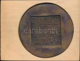 Csíkszentmihályi Róbert (1940-) 1985. "OMÉK - 1985 Magyar Fórum - Magyar Agrárszakemberek Tudom...