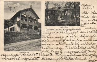 Borosznófürdő Villa Lajos and Cornélia