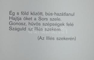 Csáji Attila: Ifjú szívekben élek: 23 rajz Ady Endre verseihez. Bp., 1977, Magvető. 5db hiányzik