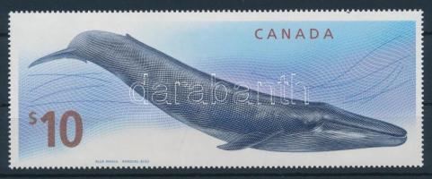 Blue Whale, Kékbálna