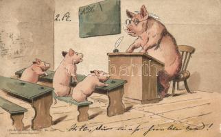 1898 Pigs classroom litho (fa)