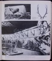 Vadászati Világkiállítás 1971 emlékalbum. Bp., 1971, Corvina. Kiadói egészvászon kötésben, fekete-fe...