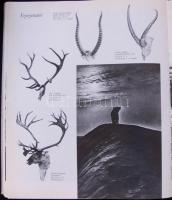 Vadászati Világkiállítás 1971 emlékalbum. Bp., 1971, Corvina. Kiadói egészvászon kötésben, fekete-fe...