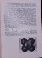 1954 A Sztálivárosi Helytörténeti kiállítás katalógusa