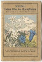 ~1920 Kis atlasz az Alpok flórájáról 12db színes illusztrációkkal